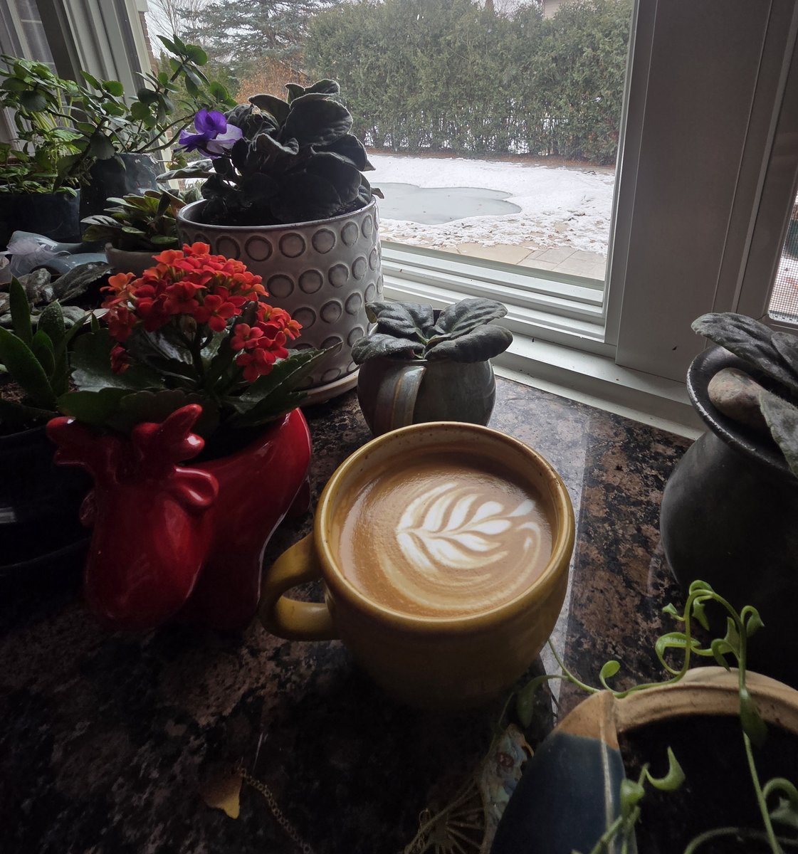 Latte art by evelocity