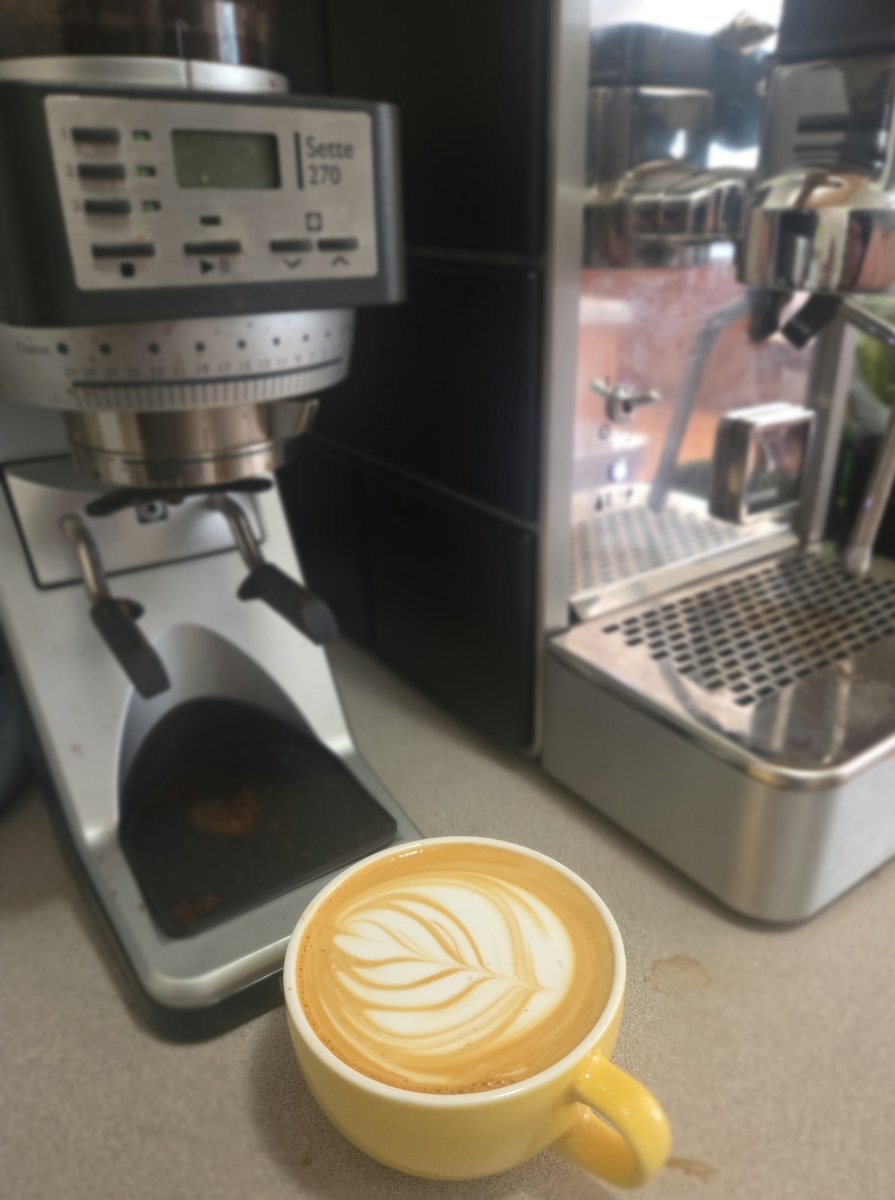 Latte art by evelocity